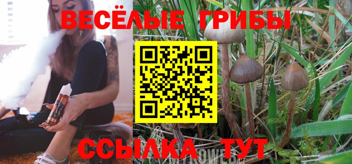 Галлюциногенные грибы GOLDEN TEACHER Азов