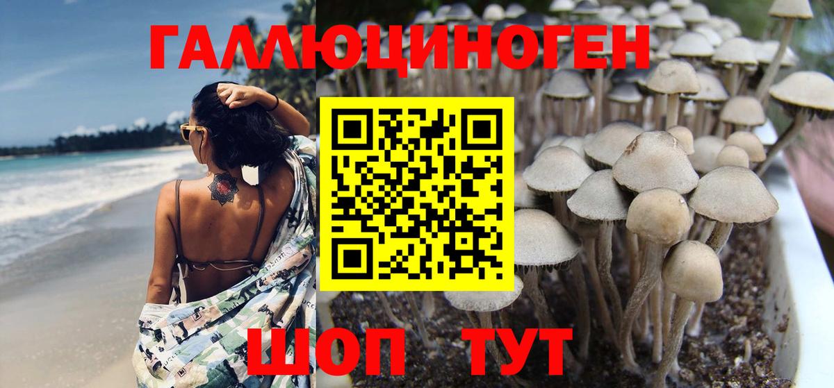 Галлюциногенные грибы Magic Shrooms  где купить наркоту  Азов  Вход с VPN  Псилоцибиновые грибы Magic Shrooms 